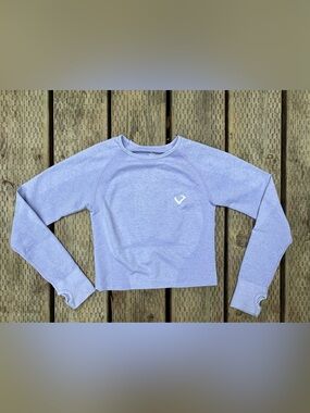 Violate the Dresscode Seamless Long-Sleeve Crop athletic top - Lavender